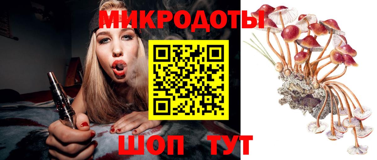 Псилоцибиновые грибы Psilocybe Комсомольск-на-Амуре
