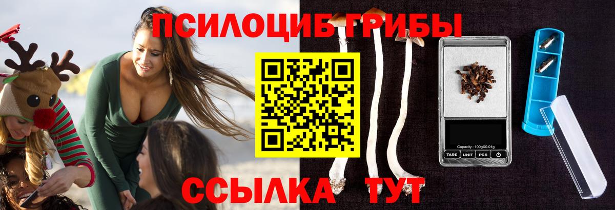 цена   Вход с VPN  Комсомольск-на-Амуре  Галлюциногенные грибы прущие грибы 